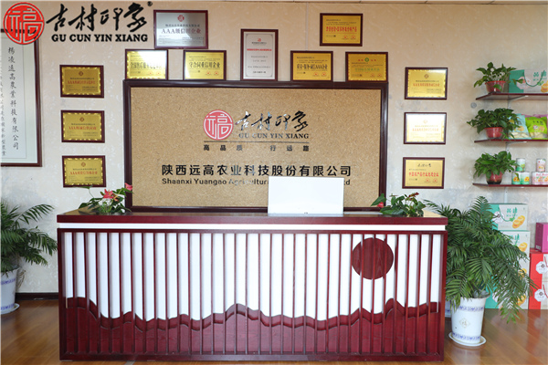 企业相册