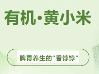 古村印象有机黄小米：从黑土地到餐桌，一口原生滋养的金黄暖粥