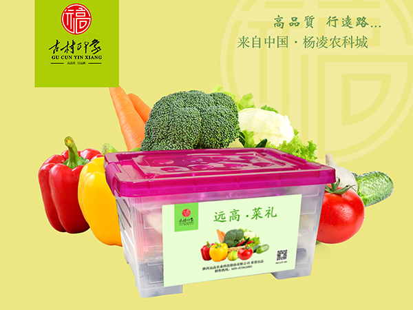 绿色礼盒蔬菜